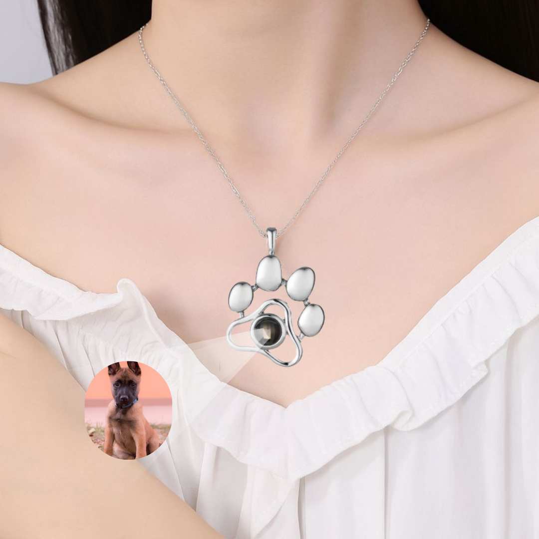 Collar Proyección Personalizada